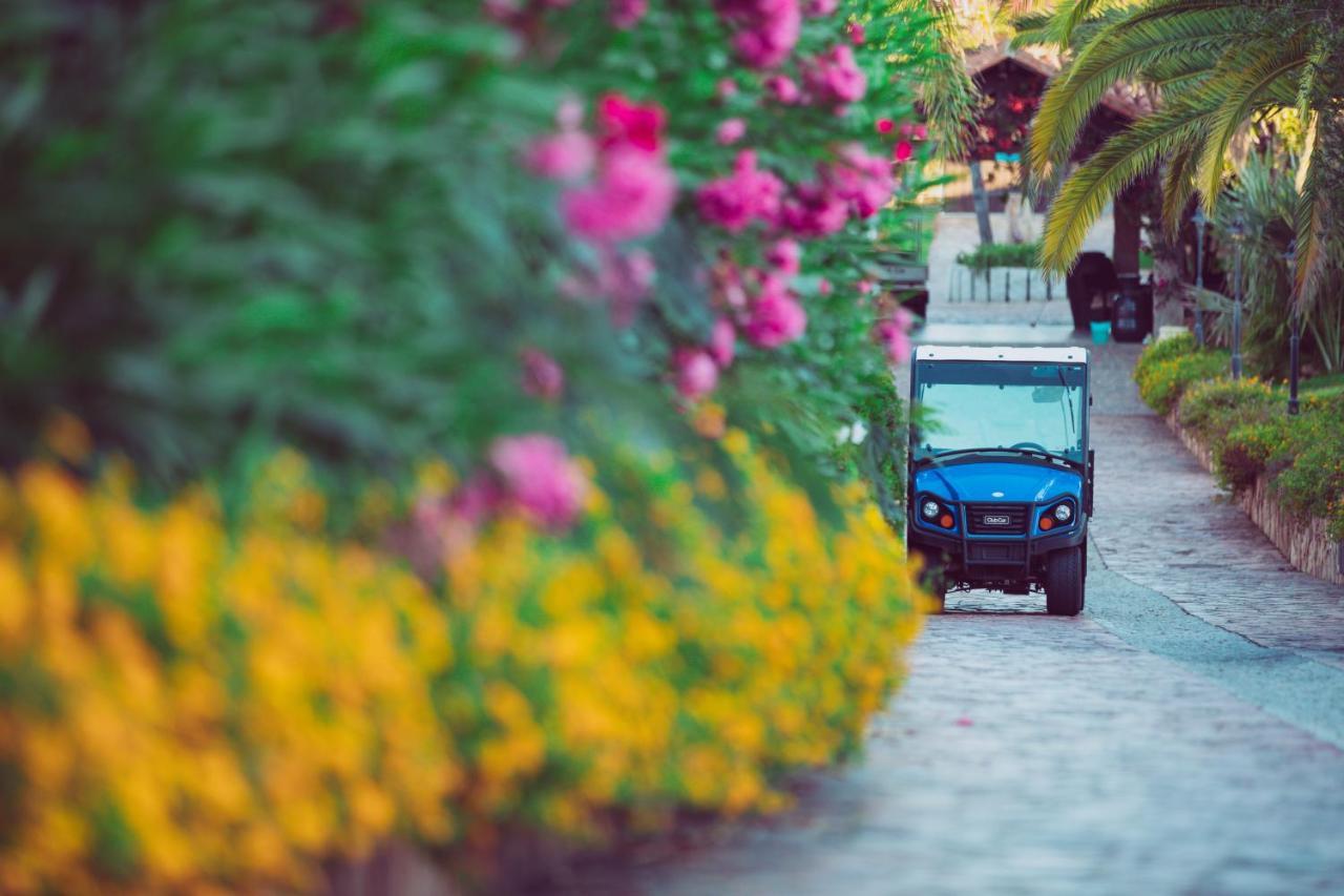 Hotel Club Saraceno - Bovis Hotels Àrbatax Zewnętrze zdjęcie